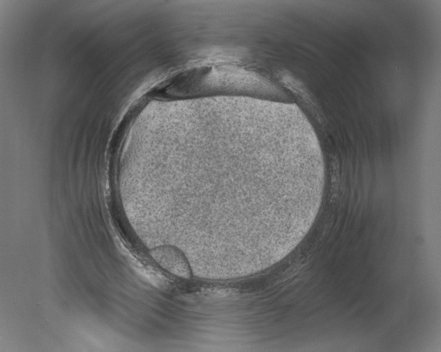 X0000080160582200701051607