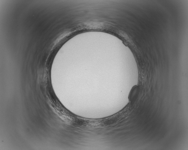 X0000080160583200701051607