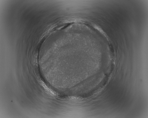 X0000080160585200701051607