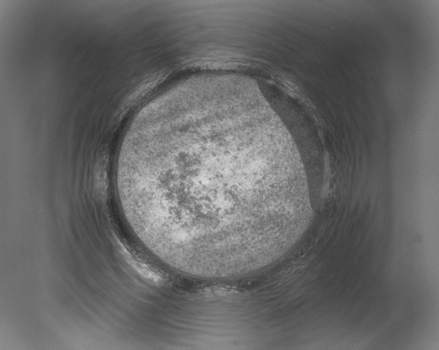 X0000080160586200701051607