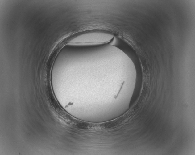 X0000080160587200701051607