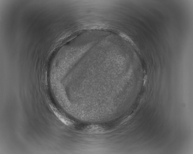 X0000080160589200701051607