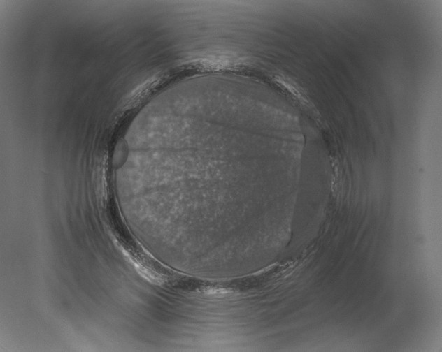 X0000080160590200701051607