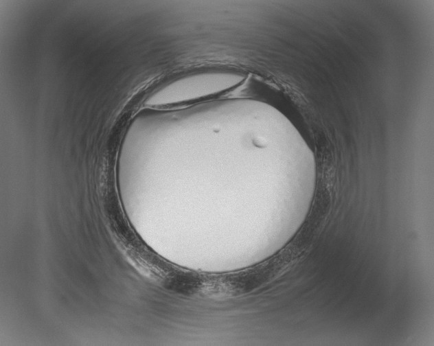 X0000080160591200701051607