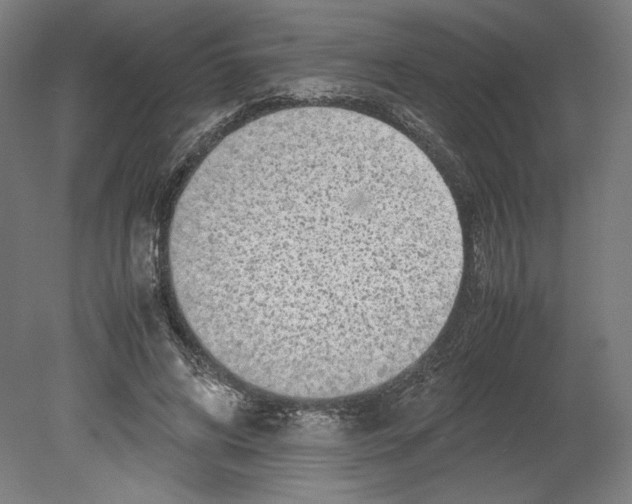 X0000080160592200701051607