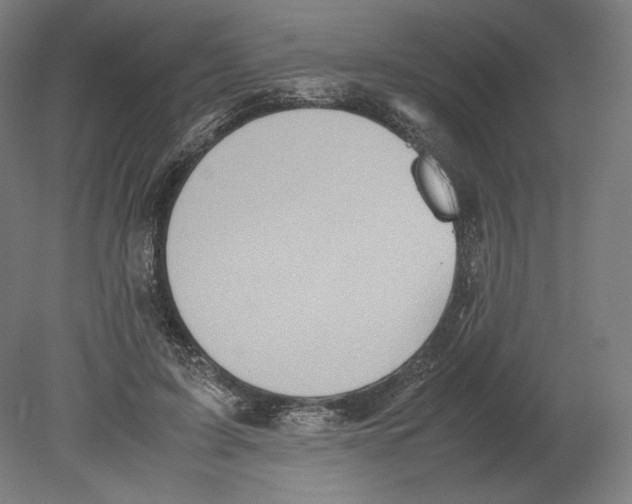 X0000080160595200701051607