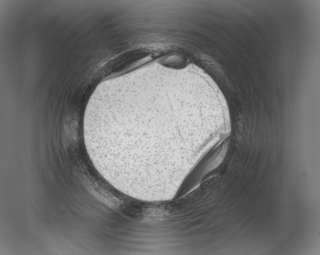 X0000080160596200701051607