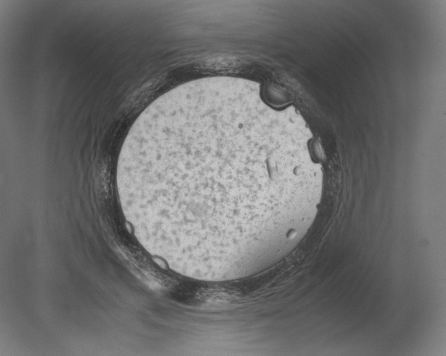 X0000080160597200701051607