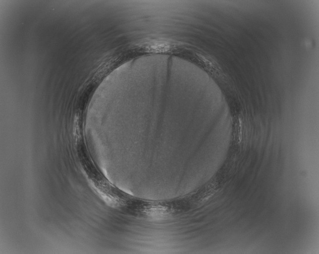 X0000080160598200701051607