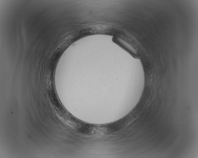 X0000080160599200701051607