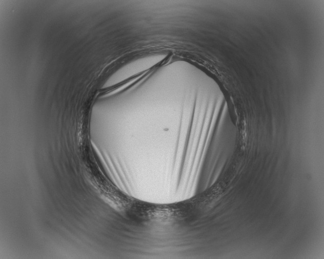 X0000080160600200701051607