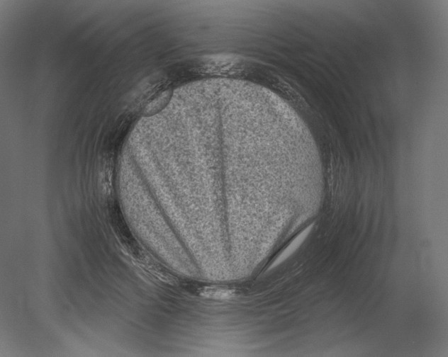 X0000080160602200701051607