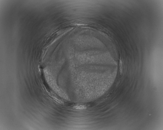 X0000080160604200701051607