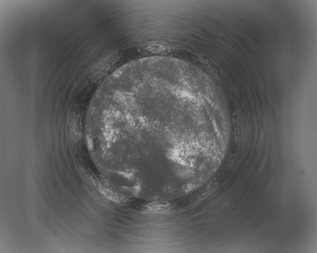 X0000080160606200701051607