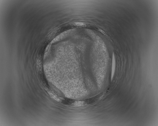 X0000080160609200701051607