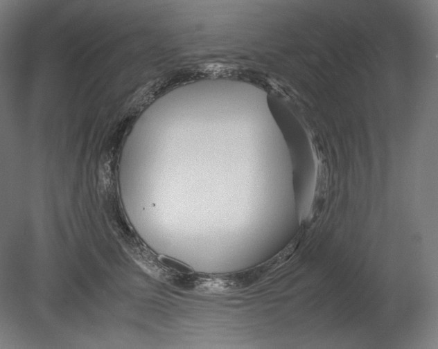 X0000080160611200701051607