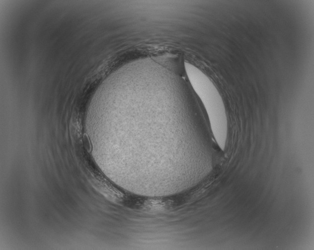 X0000080160613200701051607