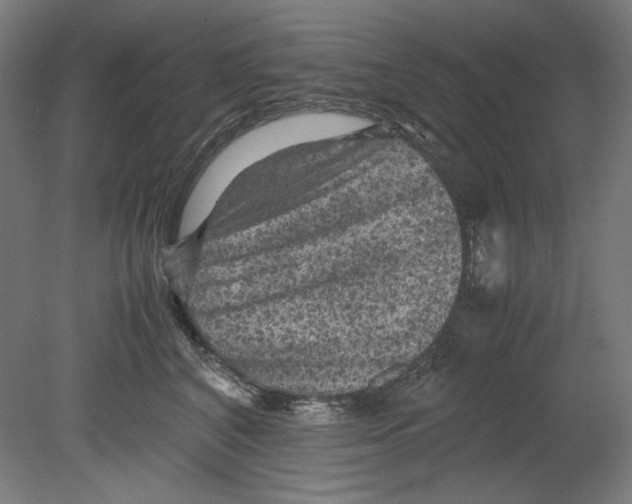 X0000080160616200701051607