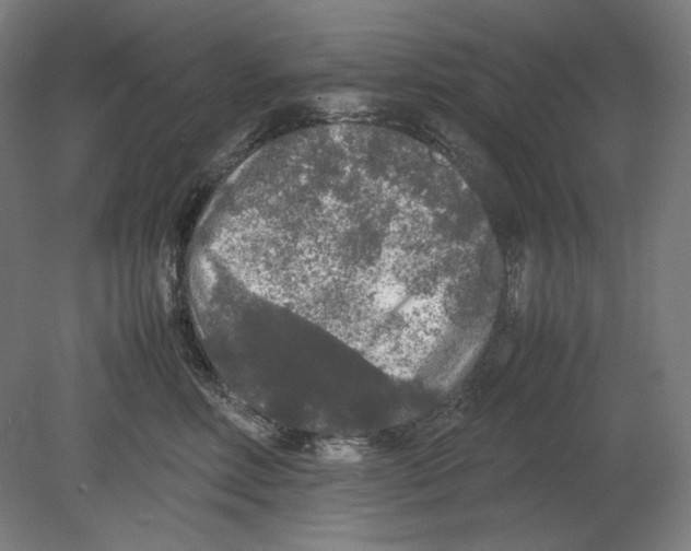 X0000080160618200701051607