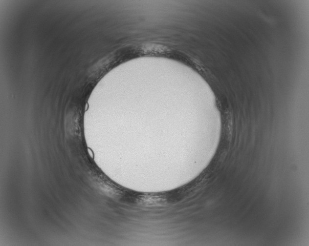 X0000080160619200701051607