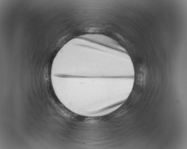 X0000080160620200701051607