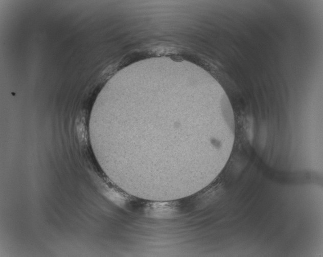 X0000080160622200701051607