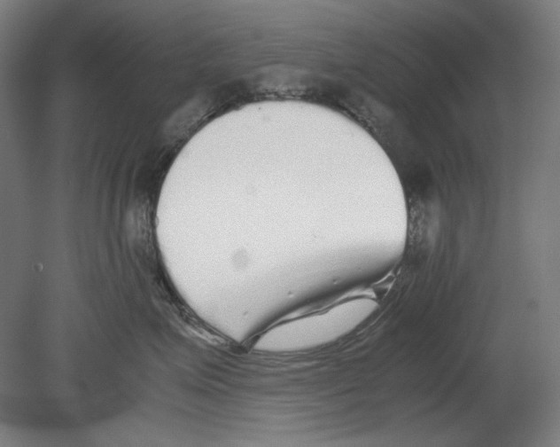 X0000080160623200701051607