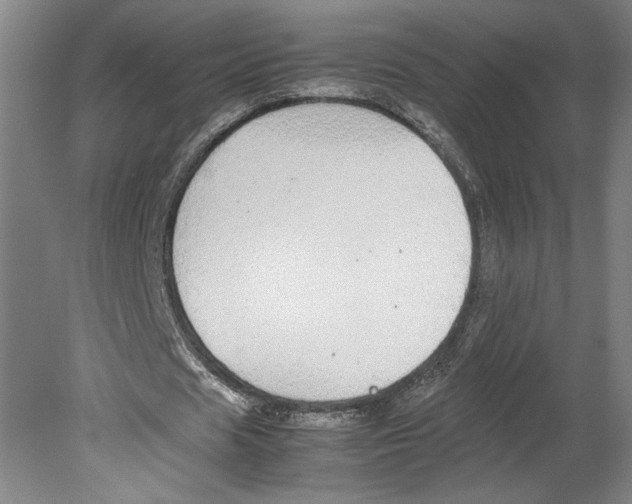 X0000080160625200701051606