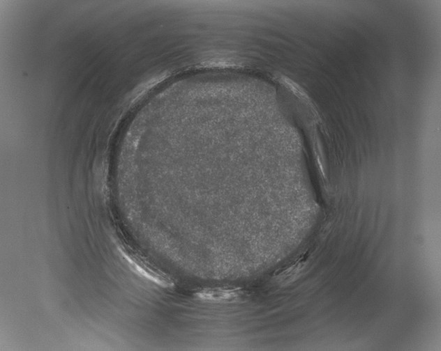 X0000080160627200701051606