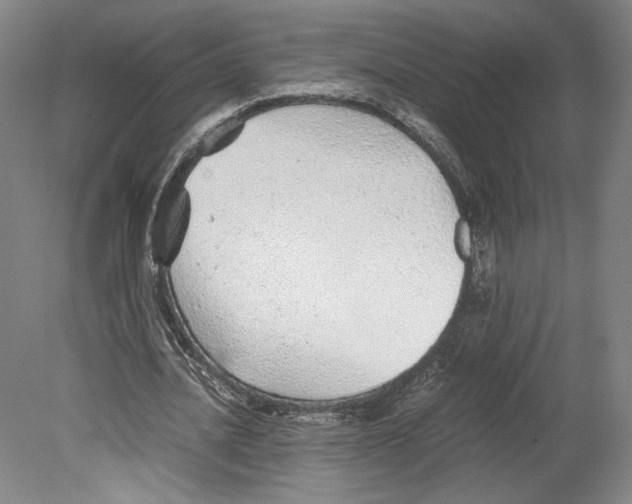 X0000080160628200701051606