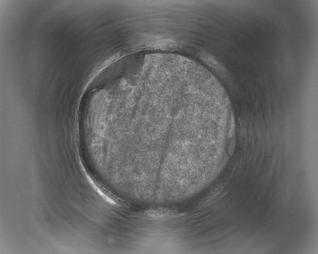 X0000080160630200701051606