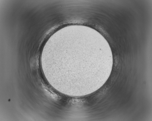 X0000080160632200701051606