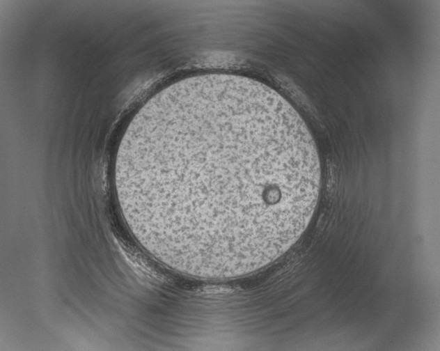 X0000080160636200701051606