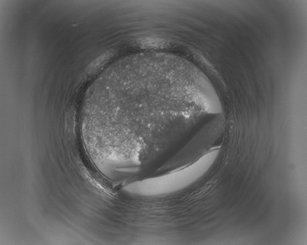 X0000080160637200701051606