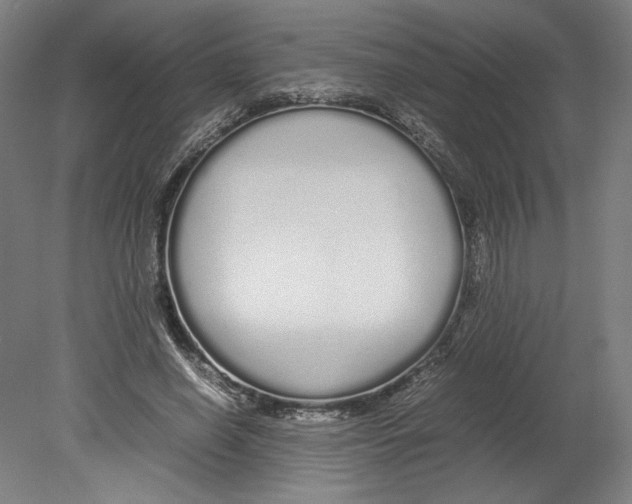 X0000080160638200701051606