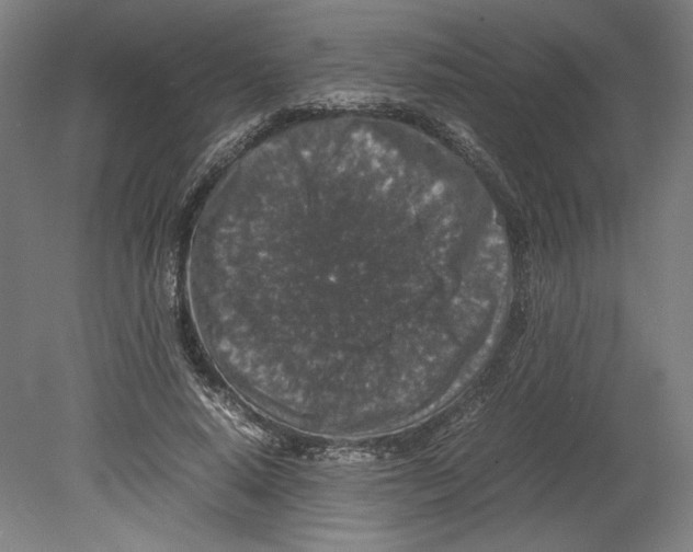 X0000080160640200701051606