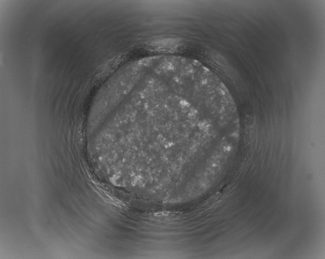 X0000080160641200701051606