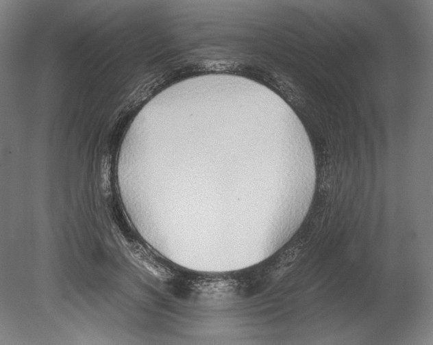 X0000080160646200701051606