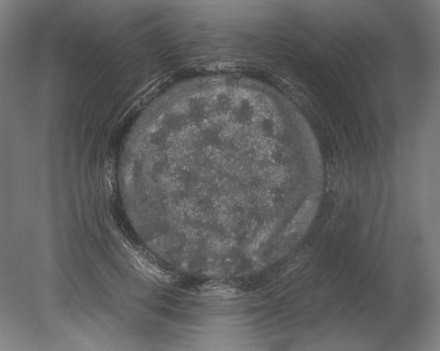 X0000080160648200701051606