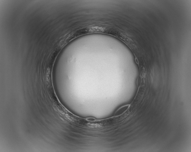 X0000080160649200701051606