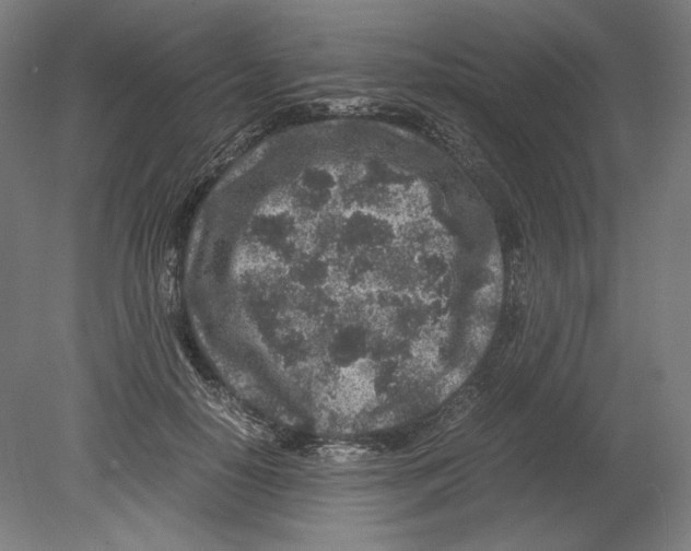 X0000080160650200701051606