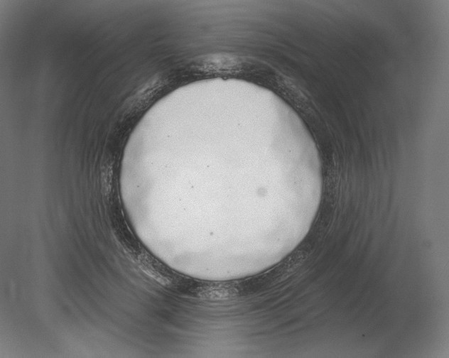 X0000080160652200701051606