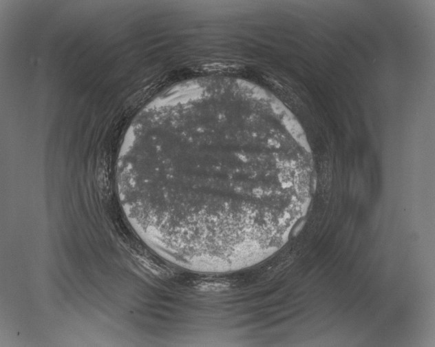 X0000080160653200701051606