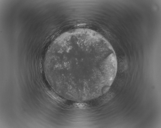 X0000080160654200701051606