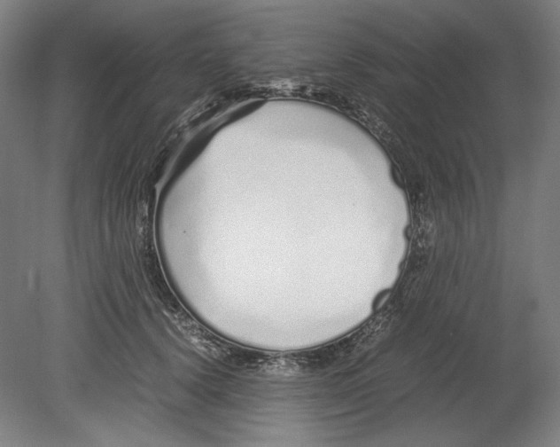 X0000080160656200701051606