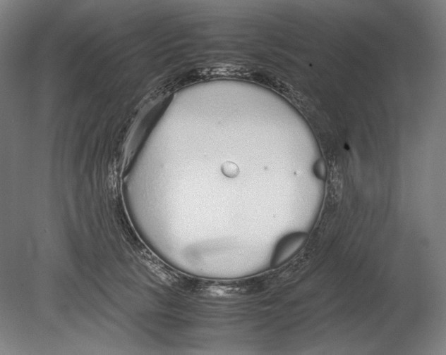 X0000080160657200701051606