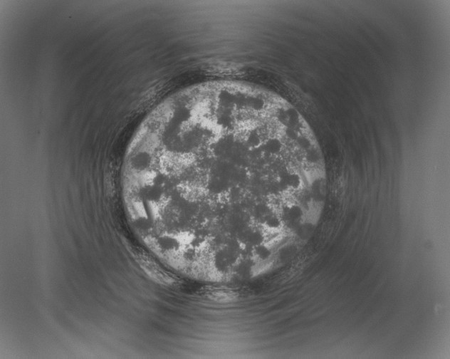 X0000080160658200701051606