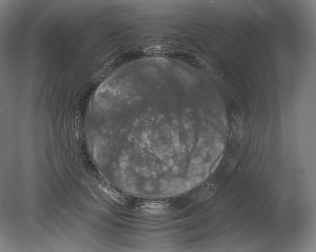 X0000080160659200701051606