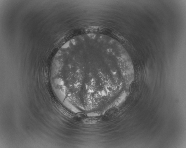 X0000080160661200701051606