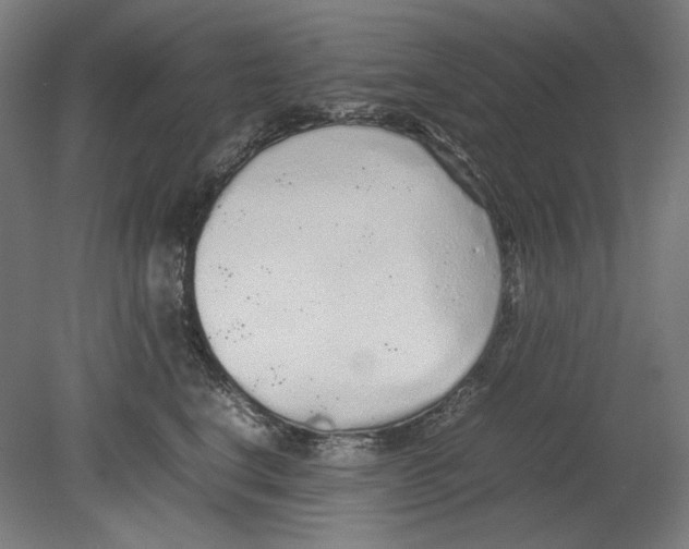 X0000080160664200701051606